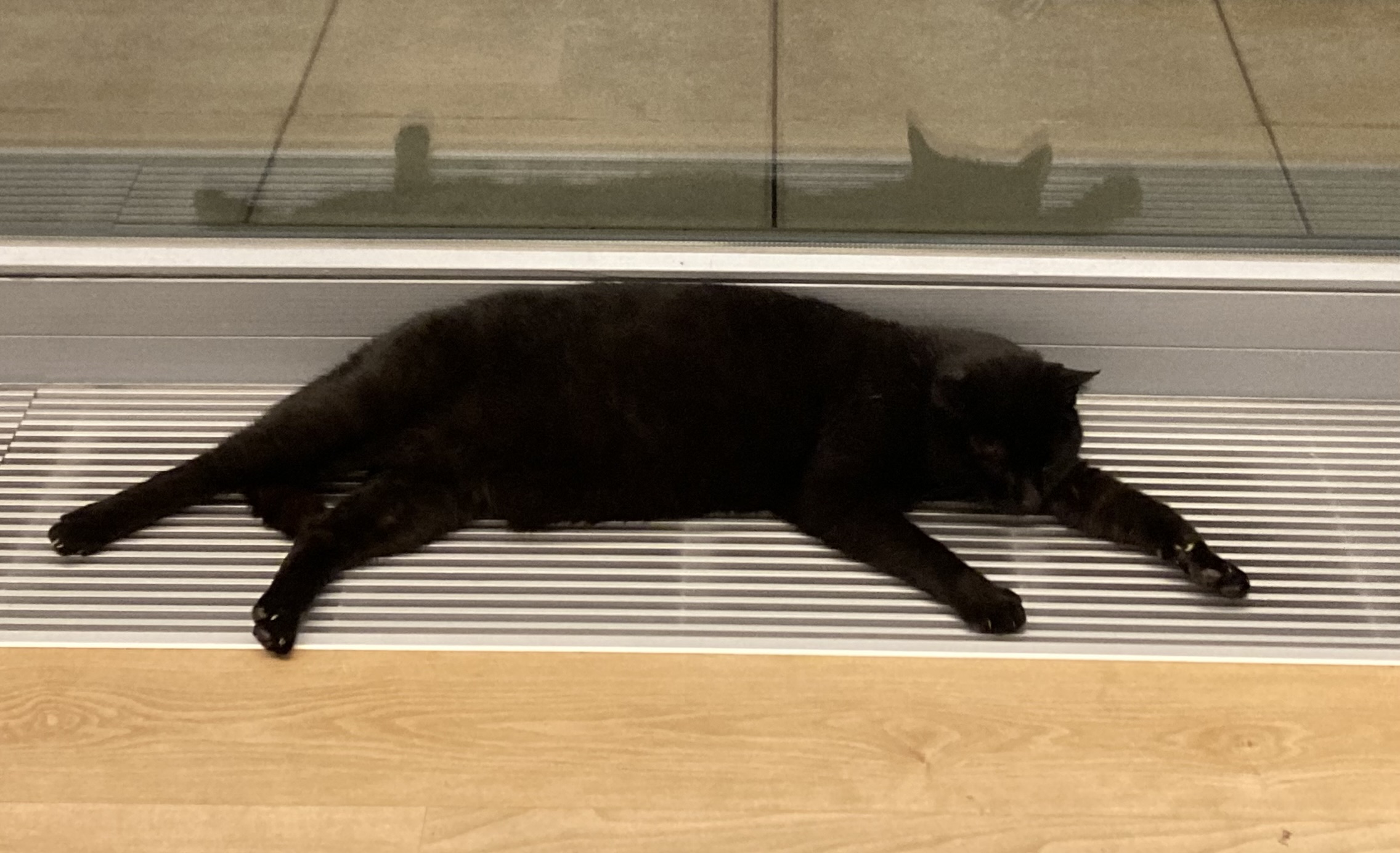 Unsere schwarze Katze liegt schlafend auf der in den Boden eingelassenen Heizung.